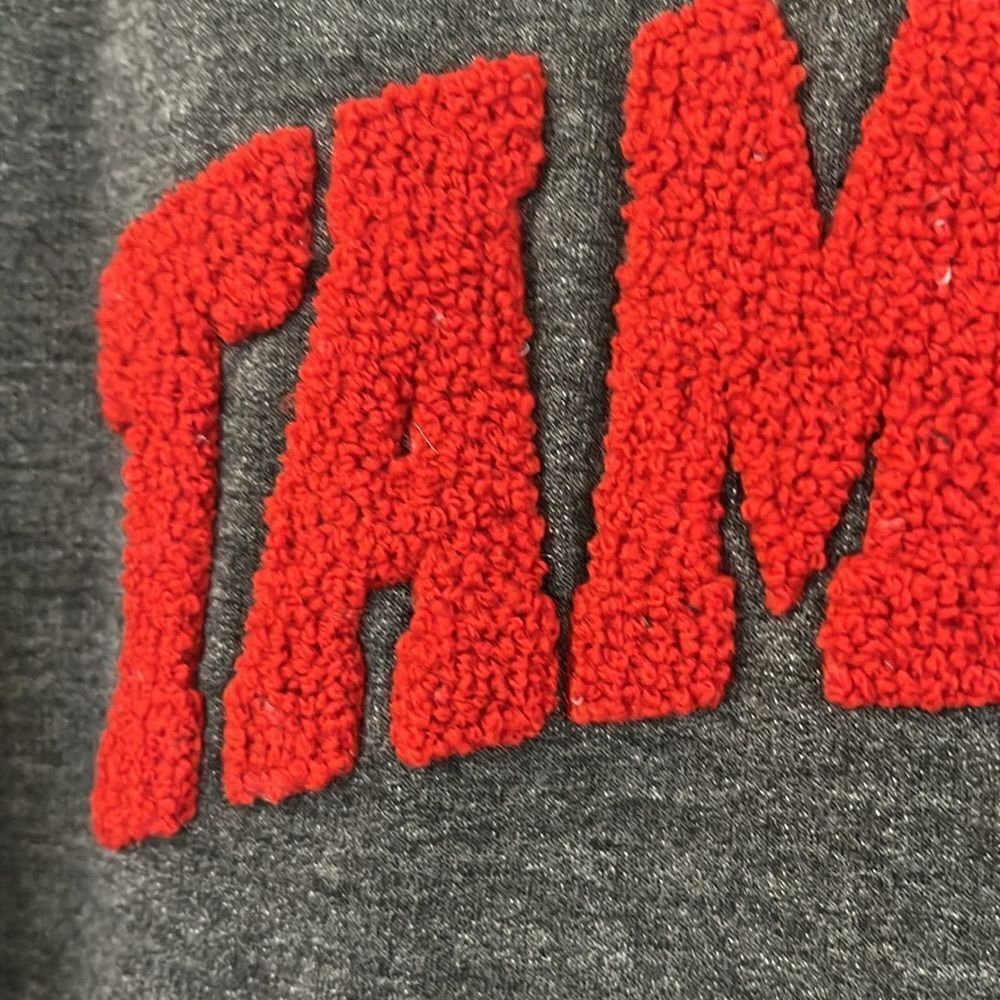 New Tampa Bay Buccaneers Gray Sweatshirt - Picture 6 of 6
